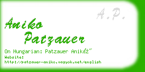 aniko patzauer business card